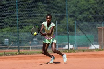 Noma Noha Akugue 317 - Amato Caffe Open